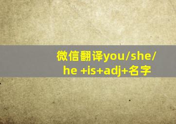 微信翻译you/she/he +is+adj+名字